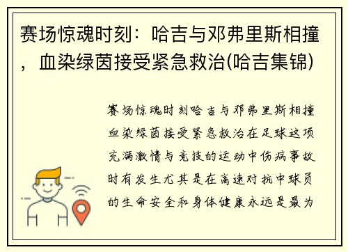 赛场惊魂时刻：哈吉与邓弗里斯相撞，血染绿茵接受紧急救治(哈吉集锦)